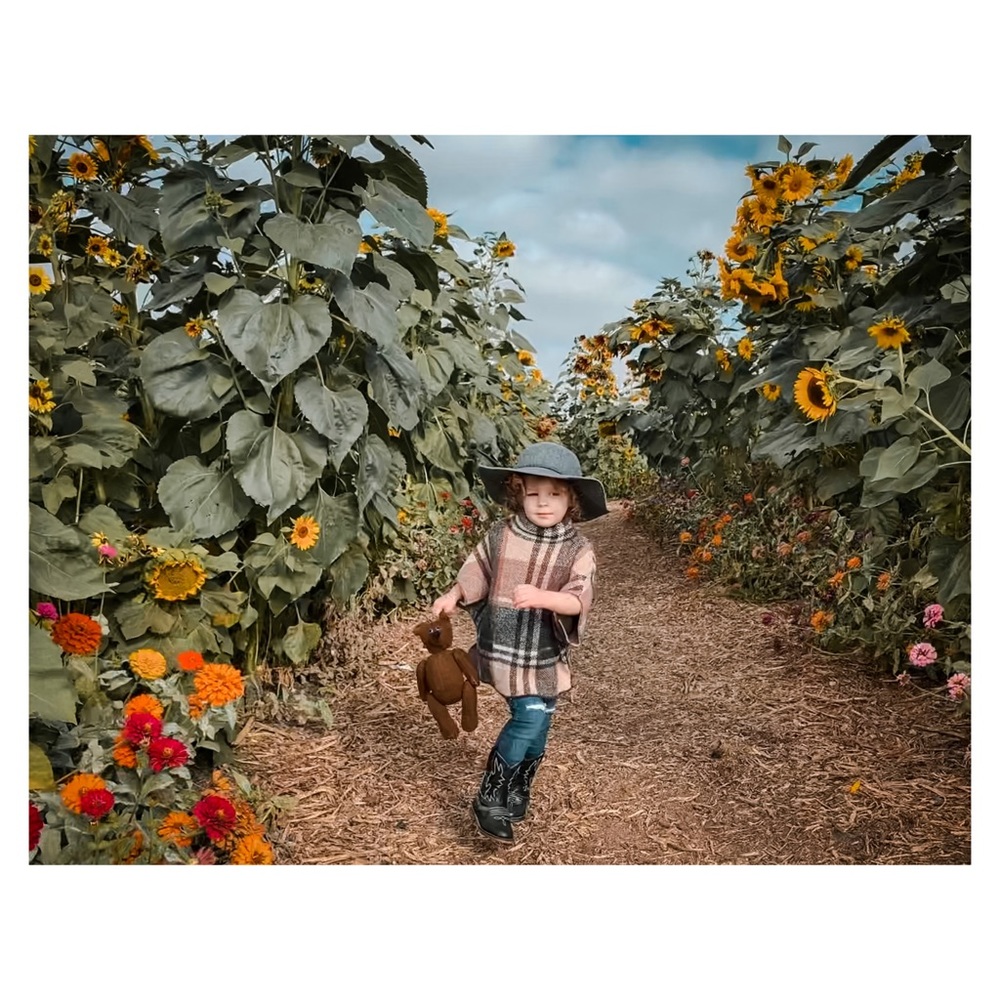 Mini SilverShades is 7 years old!! - Picture 8 of 12